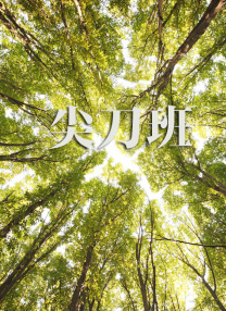精品国产免费久久久久久